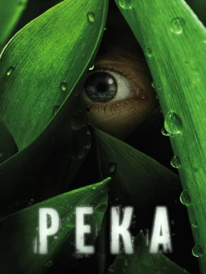 Река